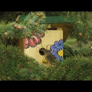 Meet your Posher, Mandy